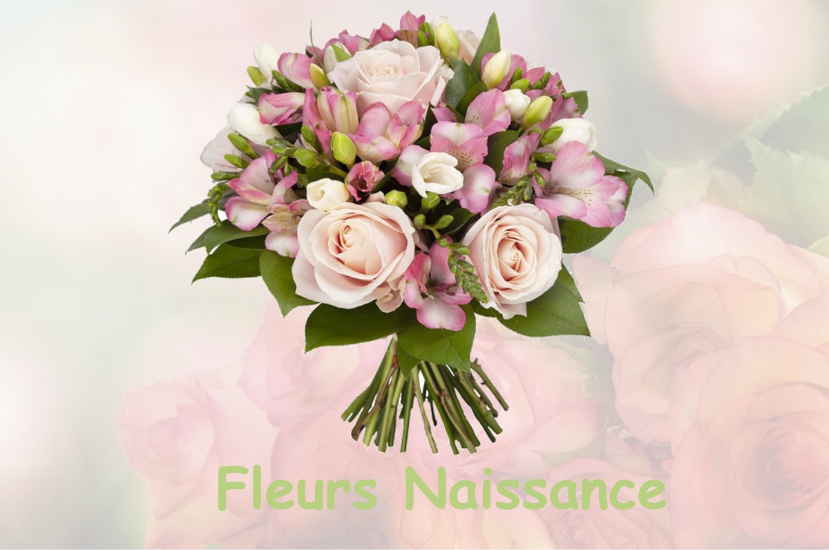 fleurs naissance LAMENAY-SUR-LOIRE