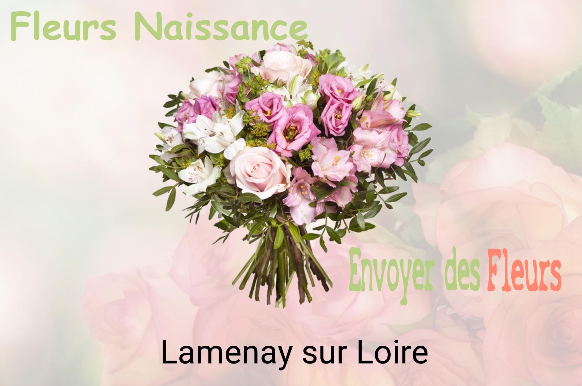 Bouquet de fleurs de naissance livré à Lamenay-sur-Loire
